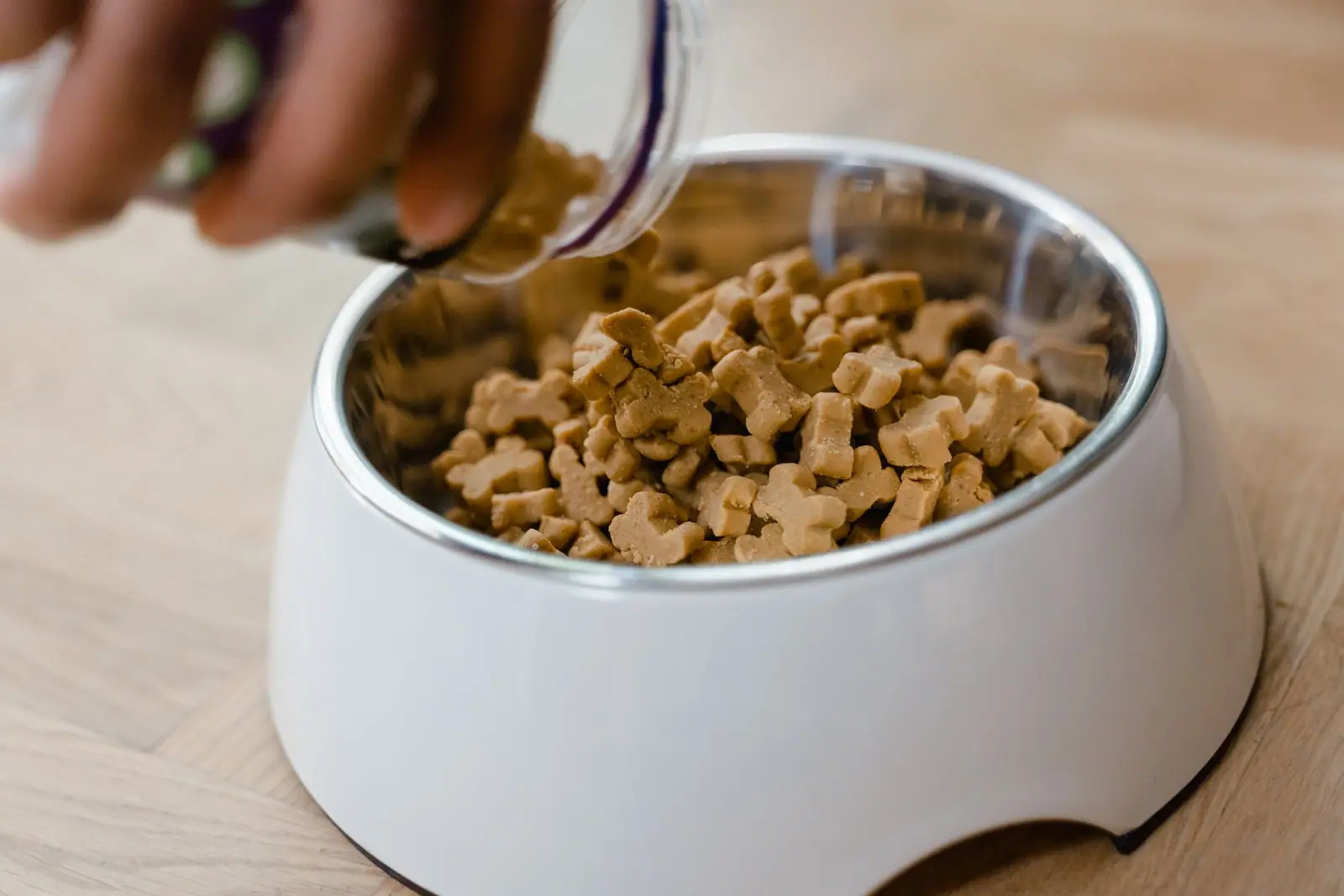 A hand pouring dry kibble from a container into a white dog bowl