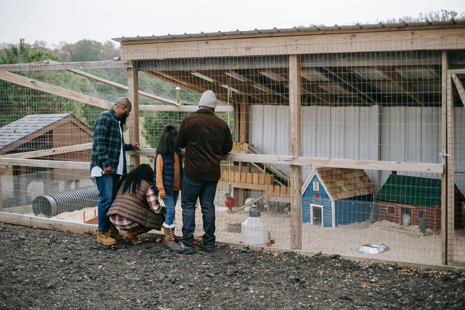 Three people standing inside a large walk-in chicken run with small coops