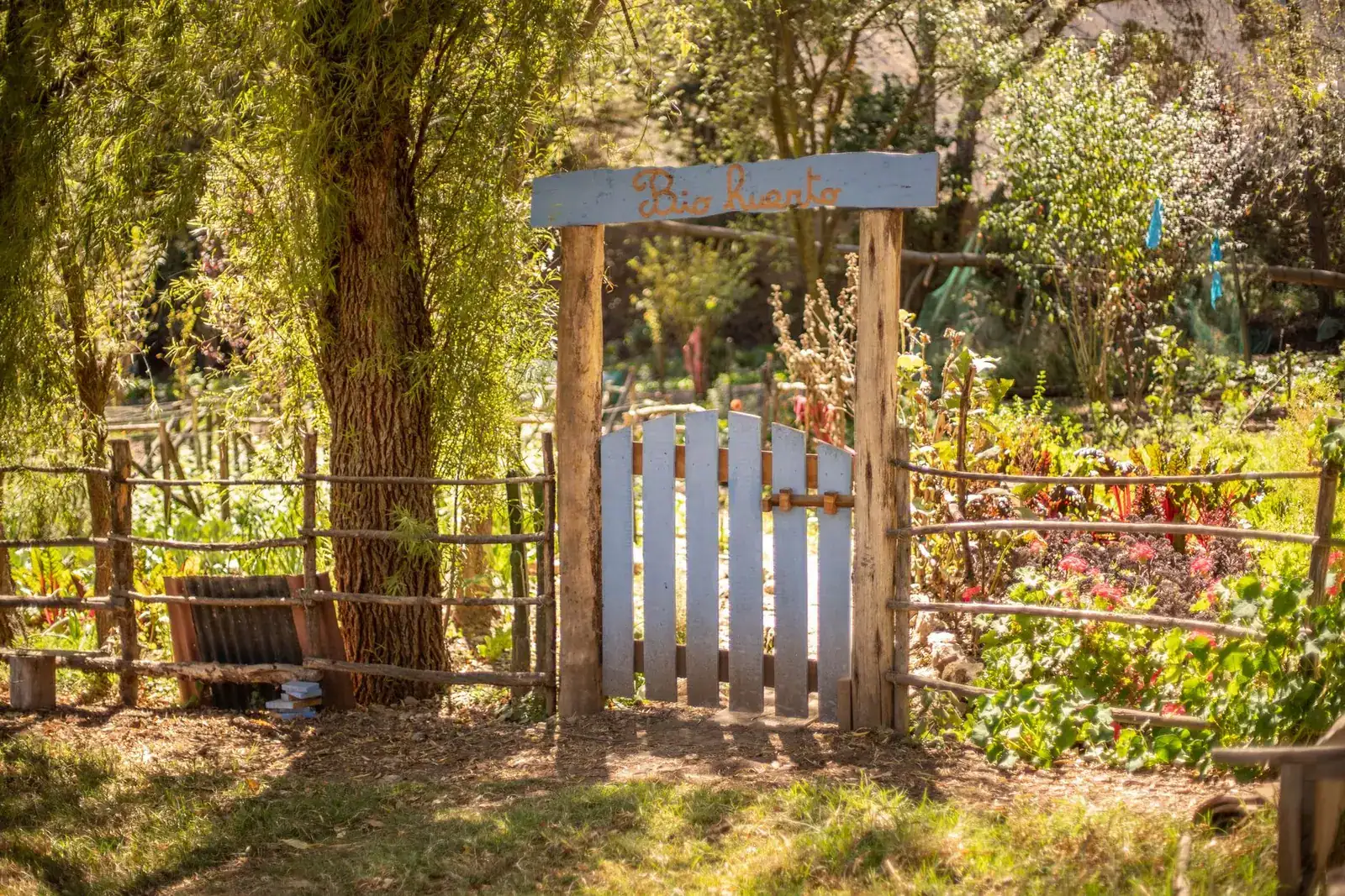 A pale wooden garden gate surrounded by trees and greenery